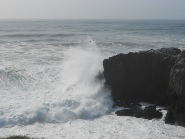 Huge wave crashing against rock